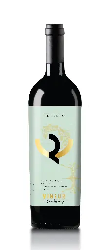 [MEXVINS1] Vinsur, Reflejo